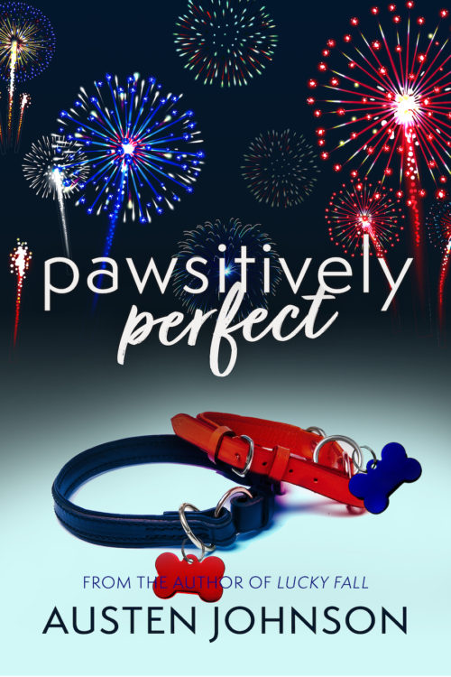 An ebook cover showing two dog collars and fireworks
